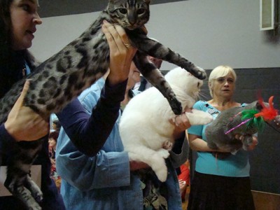 20121021_240 (Expo)